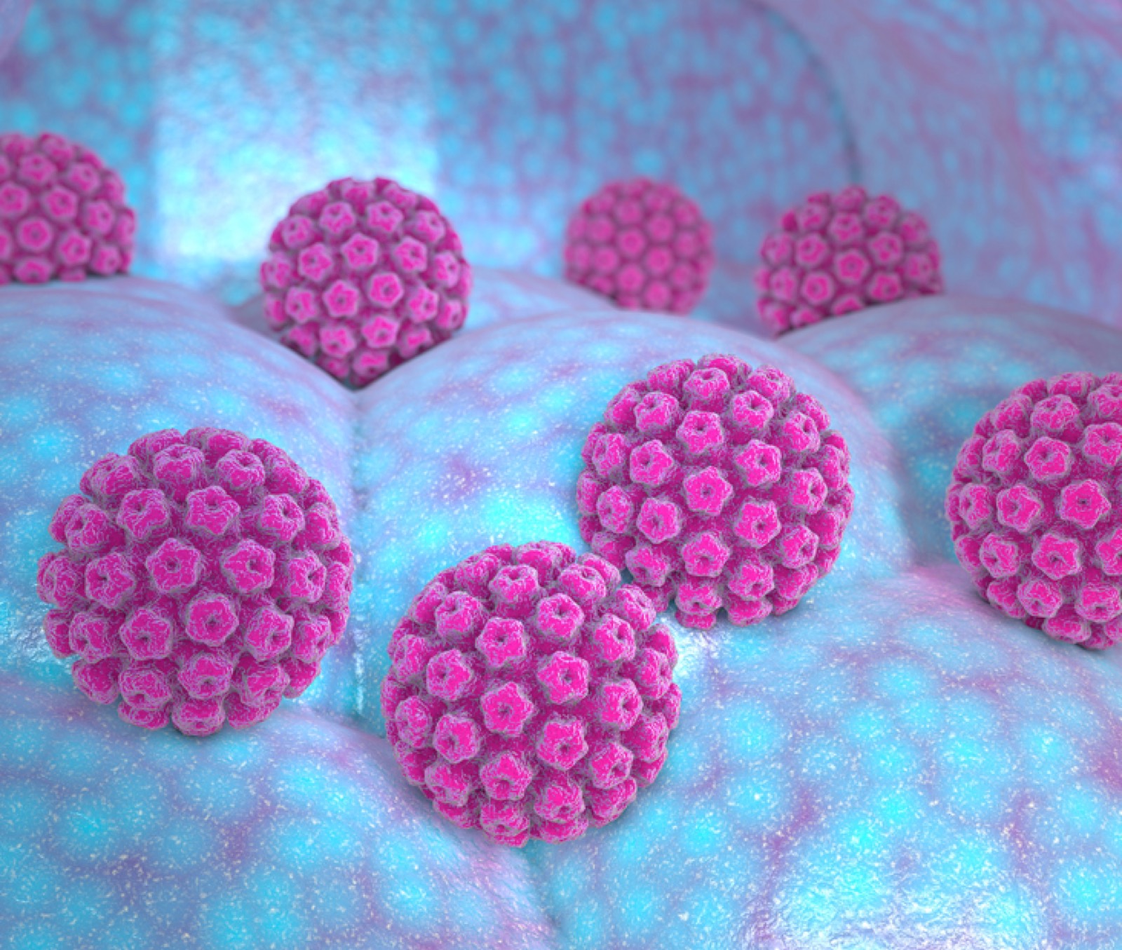 Immagine illustrativa: Condilomi e HPV (Papillomavirus)